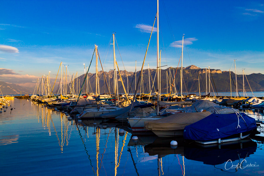 cocktail-cruise-1_4_orig