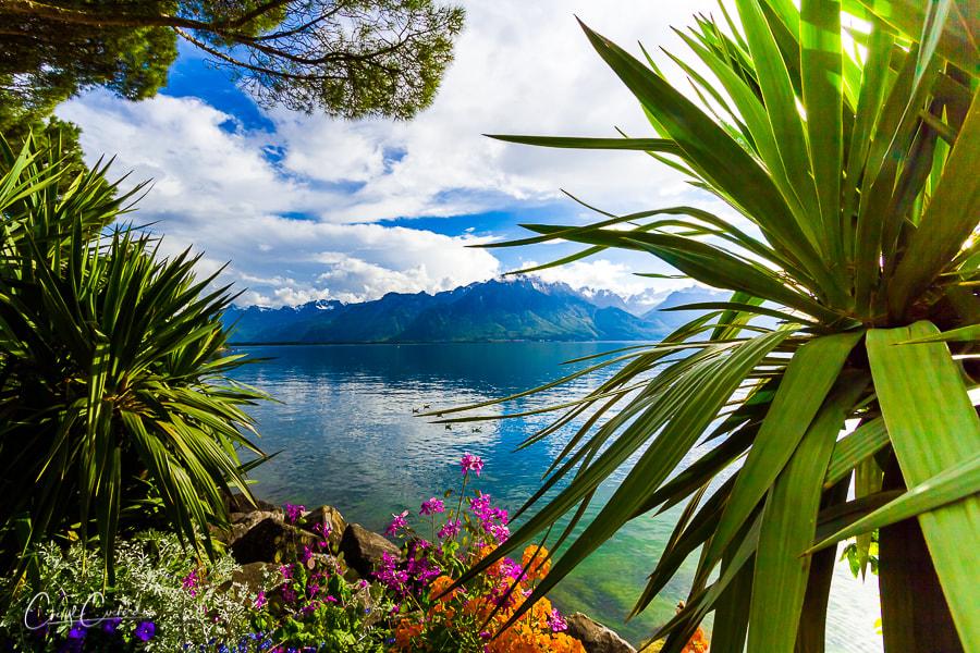 exotic-sex-on-the-beach_4_orig